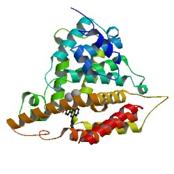 Phosphodiesterase selectivity